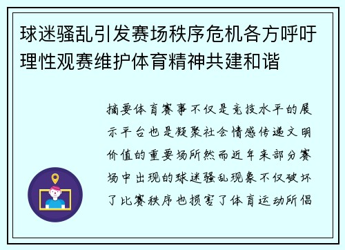 球迷骚乱引发赛场秩序危机各方呼吁理性观赛维护体育精神共建和谐